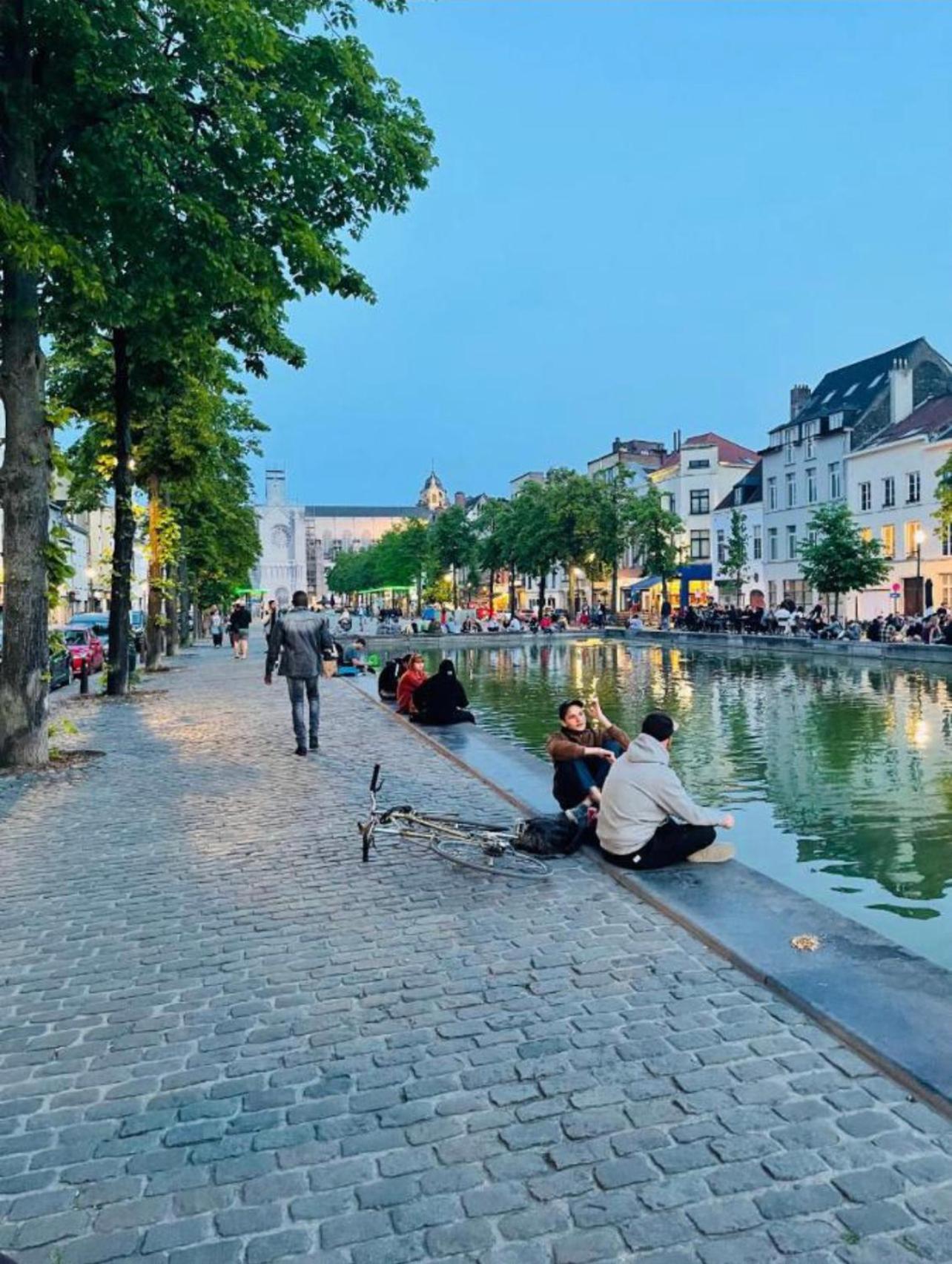 Down-Town 1 Bedroom Flat Brussels Ngoại thất bức ảnh